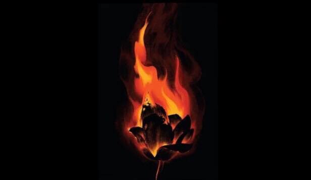 80967595_827762714337181_5429244502193733632_n